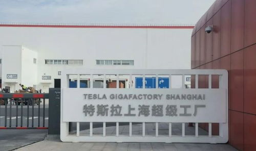 馬斯克中國行觸動印度神經(jīng) 印政界怒批“不可原諒”